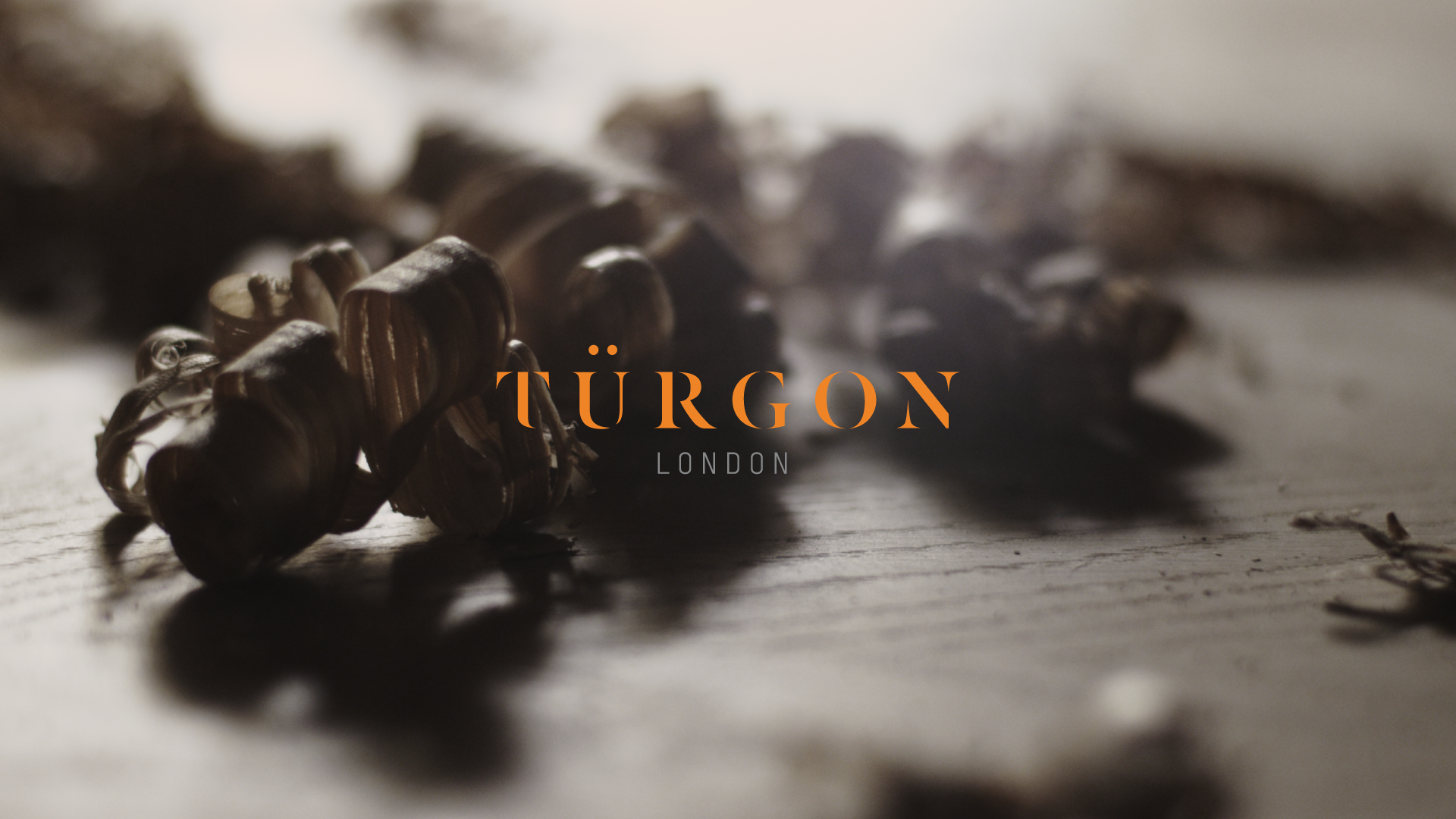 Turgon